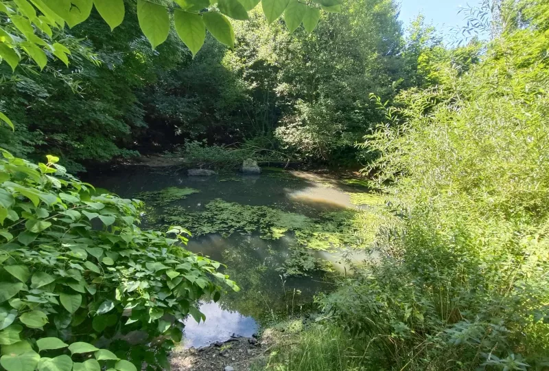 Rokosák - Drahovice