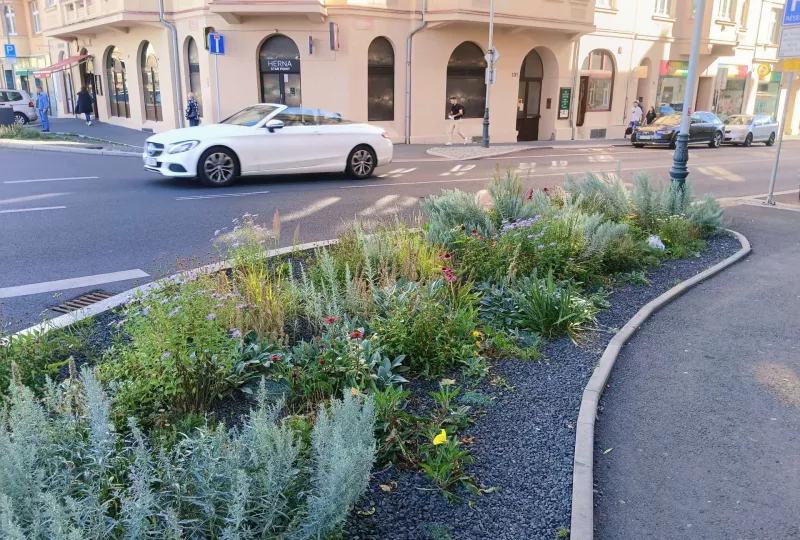 Karlovy Vary - Úpravy nástupních prostor a komunikací u Tržnice