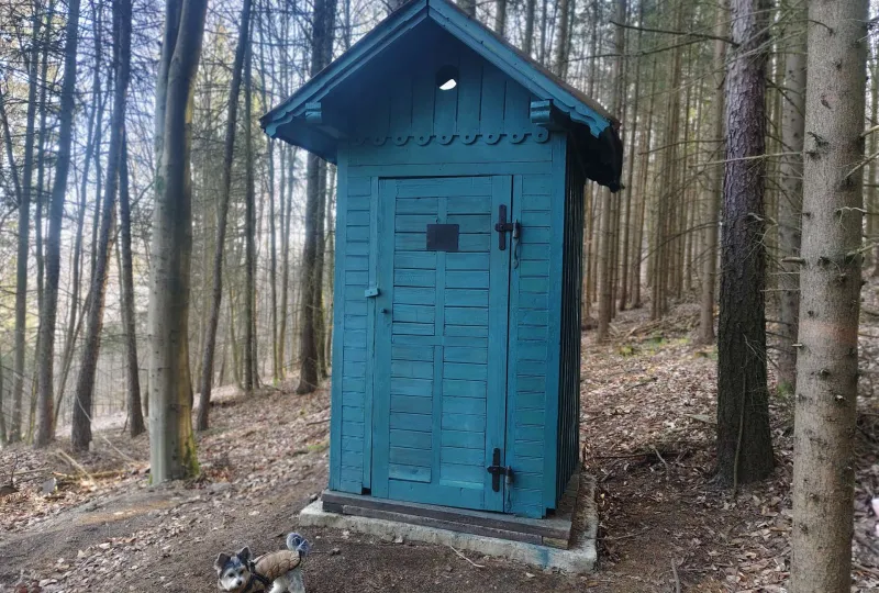 Lesní toaleta
